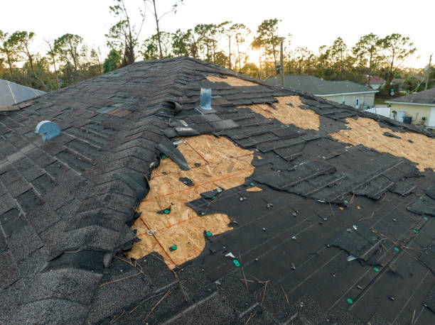 Best Roof Leak Repair  in Henderson, TN