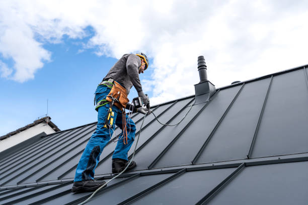 Best Sheet Metal Roofing  in Henderson, TN