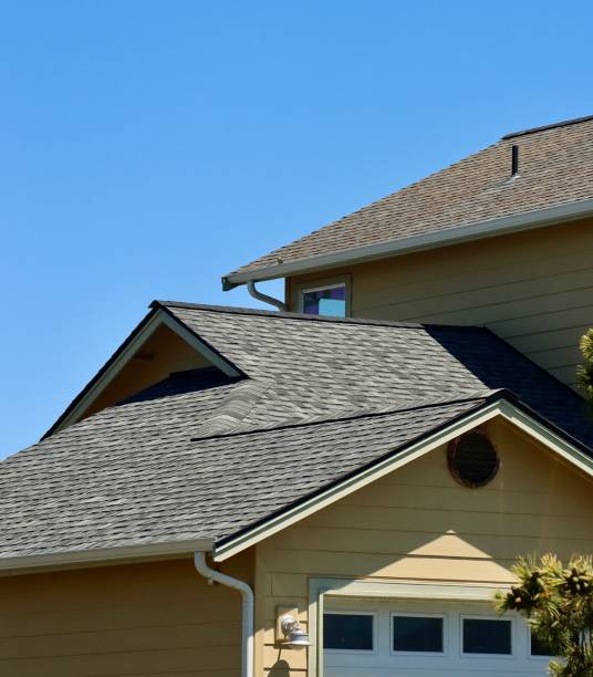 Best Roof Moss and Algae Removal  in Henderson, TN